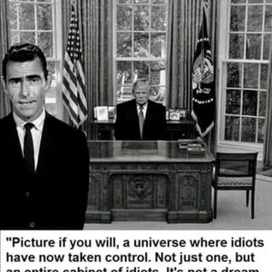 Meet your Posher, Lynn